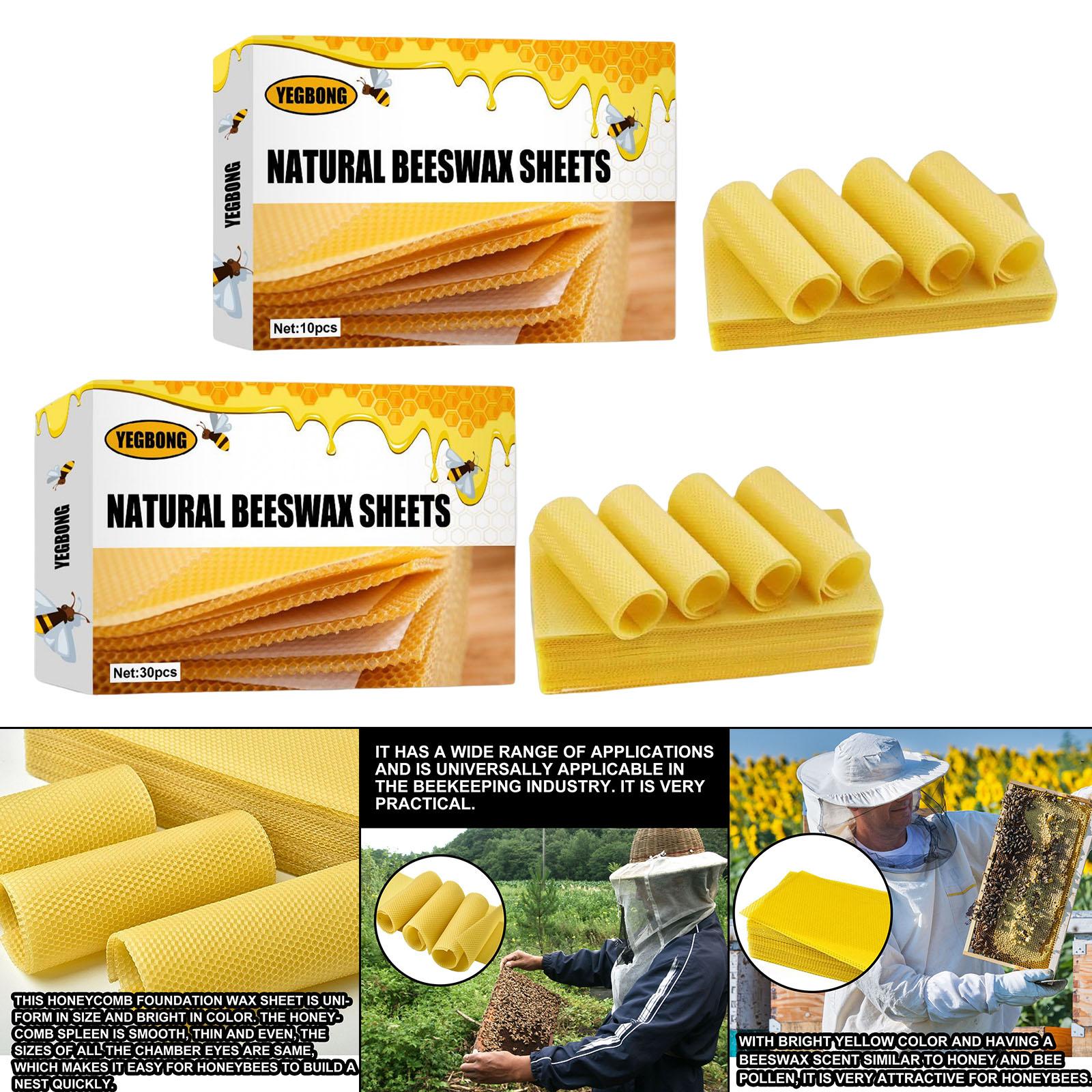 Beeswax Sheets, Beekeeping Fou - مراجعة Candle Making Kits وسعره