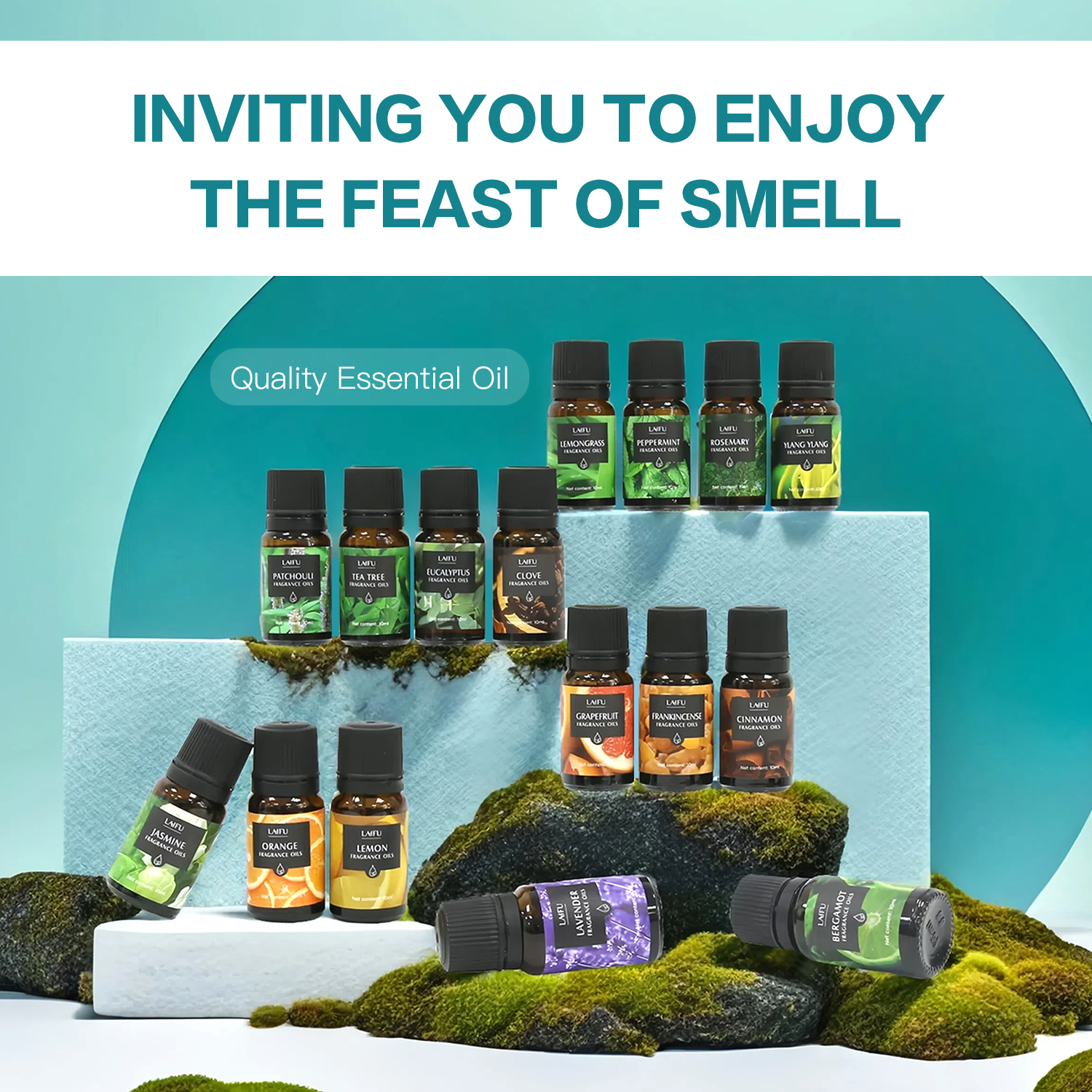 16x10ml Essential Oils Set for - مراجعة Candle Making Kits وسعره