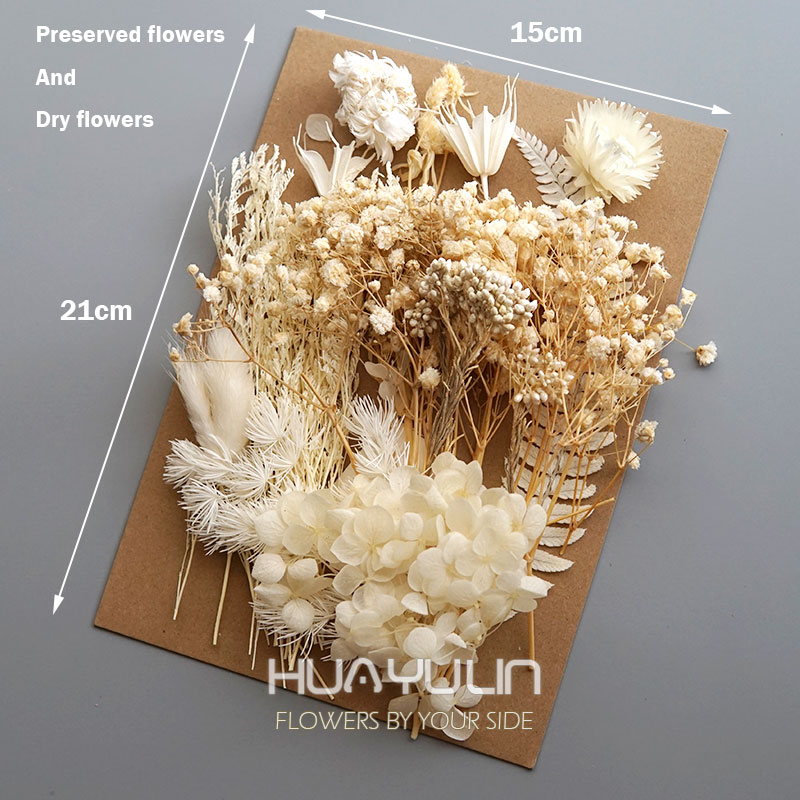 1 Pack Artificial Plants Dried - مراجعة Candle Making Supplies وسعره